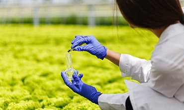 Crop Inspections