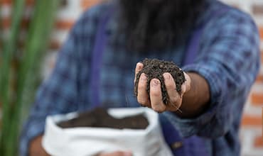 Fertilizer Advice
